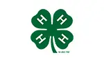 hingham 4h - OC