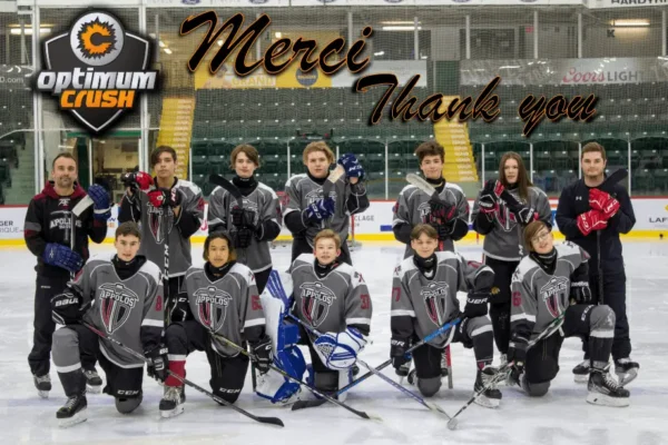 Appolos.gris.Optimum