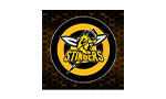 WLAD Stingers Hockey